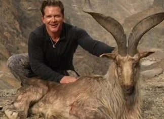 Bryan Harlan, trophy hunter pays $110K to kill rare mountain goat Bryan Harlan, trophy hunter pays $110K to kill rare mountain goat