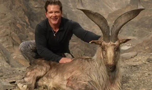 Bryan Harlan, trophy hunter pays $110K to kill rare mountain goat