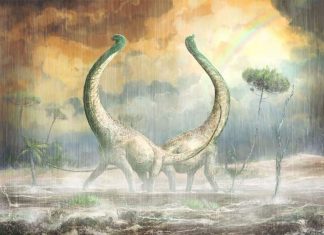 New Dinosaur discovered which had heart-shaped tail New Dinosaur discovered which had heart-shaped tail