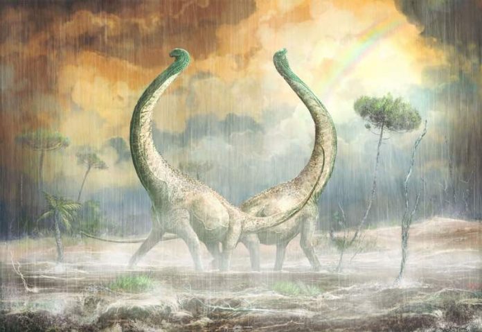 New Dinosaur discovered which had heart-shaped tail