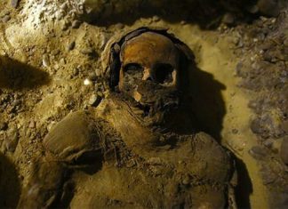 Pharaonic tomb with 50 mummies discovered near Cairo Pharaonic tomb with 50 mummies discovered near Cairo