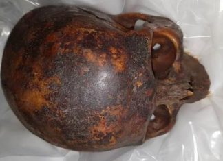 Crusader skull recovered after being stolen from St Michan’s Church Crusader skull recovered after being stolen from St Michan's Church