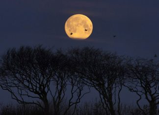 Final supermoon 2019: occurs as an asteroid zips close by Final supermoon 2019: occurs as an asteroid zips close by