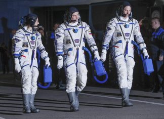 NASA study finds herpes viruses reactivate in astronauts, Report NASA study finds herpes viruses reactivate in astronauts, Report