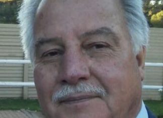 Pilot fired for flying with fake licence for 20 years (Reports) Pilot fired for flying with fake licence for 20 years, Report