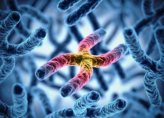 Gene therapy in HIV cure research Gene therapy in HIV cure research