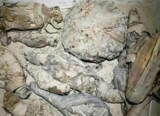 Mummified mice found in ancient Egyptian tomb, Report Mummified mice found in ancient Egyptian tomb, Report