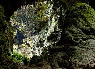 New Human Species Is Discovered in a Philippine Cave New Human Species Is Discovered in a Philippine Cave