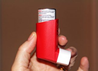Pollution ‘results in 4m child asthma cases a year’ (Study) Pollution 'results in 4m child asthma cases a year' (Study)