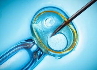 Woman Pregnant with Three-Parent Baby In Greece Woman Pregnant with Three-Parent Baby In Greece