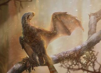 Bat-winged dinosaur found; failed experiment in flight Bat-winged dinosaur found; failed experiment in flight