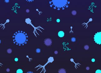 Researchers discover nearly 200,000 new virus species in ocean Researchers discover nearly 200,000 new virus species in ocean