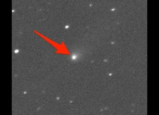 New comet is our second interstellar visitor, Report New comet is our second interstellar visitor, Report