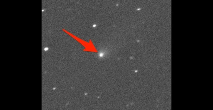 New comet is our second interstellar visitor, Report