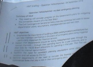 Yellowhammer leak: document sets out potential damage of no-deal Brexit Yellowhammer leak: document sets out potential damage of no-deal Brexit