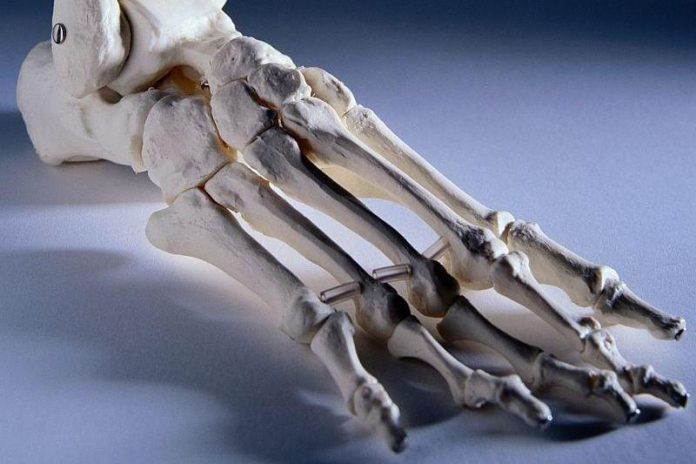 Humans have ability to regrow cartilage (Study)