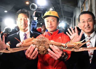 Japan: Crab sells for record $46G at auction (Photo) Japan: Crab sells for record $46G at auction (Photo)