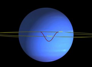 Neptune Moons ‘Dance’ to Avoid Collission, Report Neptune Moons 'Dance' to Avoid Collission, Report
