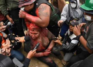 Patricia Arce mayor beaten, dragged through streets in Bolivia Patricia Arce mayor beaten, dragged through streets in Bolivia