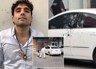 Police officer who arrested El Chapo’s son ‘executed’ Police officer who arrested El Chapo's son 'executed'