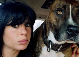 Pregnant woman killed by dogs during hunt with hounds, Report Pregnant woman killed by dogs during hunt with hounds, Report