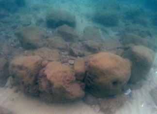 7000-year-old seawall discovered off Mediterranean Sea 7000-year-old seawall discovered off Mediterranean Sea