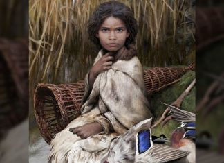 Ancient chewing gum reveals life of Stone Age woman born almost 6,000 years ago, Report Ancient chewing gum reveals life of Stone Age woman born almost 6,000 years ago, Report