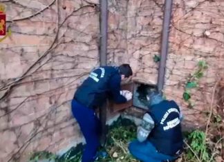 Gustav Klimt masterpiece worth nearly $100m found hidden in a wall, Report Gustav Klimt masterpiece worth nearly $100m found hidden in a wall, Report