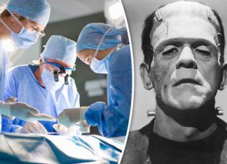 Head transplants will happen by 2030, Report Head transplants will happen by 2030, Report