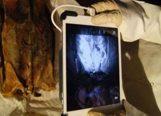 Infrared images reveal hidden tattoos on Egyptian mummies, Study Infrared images reveal hidden tattoos on Egyptian mummies, Study