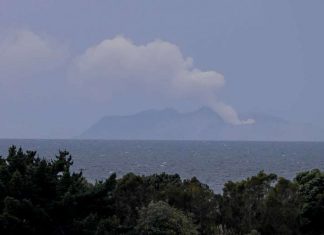 New Zealand : Police plan to recover bodies tomorrow morning New Zealand : Police plan to recover bodies tomorrow morning