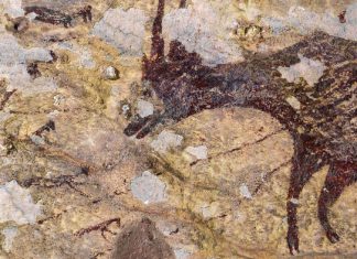 Oldest Cave painting found in Indonesia (Study) Oldest Cave painting found in Indonesia (Study)