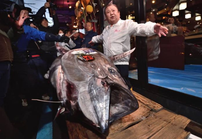 Bluefin tuna sells for $1.8 million in Tokyo, Report