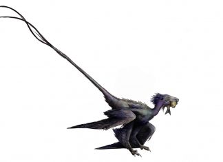 “Dancing dragon” feathered dinosaur fossil discovered in China (Study) "Dancing dragon" feathered dinosaur fossil discovered in China (Study)