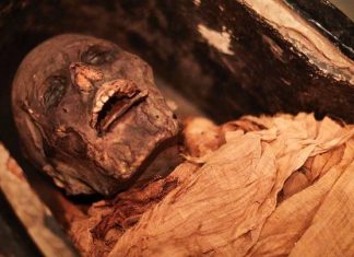 Egyptian mummy voice heard 3,000 years after death, Report Egyptian mummy voice heard 3,000 years after death, Report