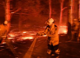 Seven die in Oz fires and more than 200 homes destroyed Seven die in Oz fires and more than 200 homes destroyed