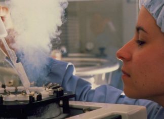 Frozen-egg storage 10 year limit “could be extended”, Report Frozen-egg storage 10 year limit "could be extended", Report