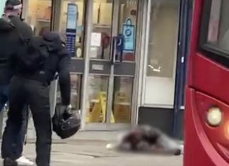 Streatham stabbing: The 20-year-old man shot dead by police Streatham stabbing: The 20-year-old man shot dead by police