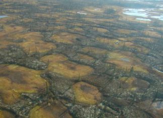 The Role of Arctic Permafrost Thaw in Climate Change, Report The Role of Arctic Permafrost Thaw in Climate Change, Report