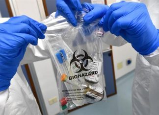 UK confirms its first coronavirus cases, Report UK confirms its first coronavirus cases, Report