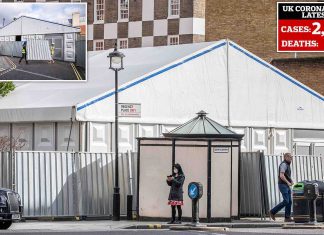 Coronavirus UK Update: Death toll jumps 33 to 104, with 2182 infected Coronavirus UK Update: Death toll jumps 33 to 104, with 2182 infected