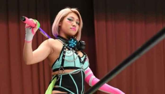 Hana Kimura: Wrestling and ‘Terrace House’ Star, Dies at 22