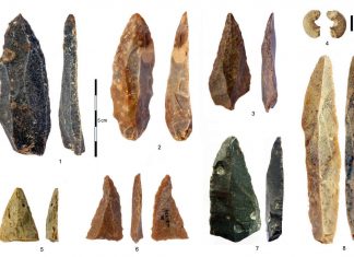 Remains in Bulgarian cave may be from earliest known humans (Study) Remains in Bulgarian cave may be from earliest known humans (Study)