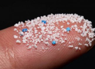 1,000 Tons of Microplastic Particles and Fibers Rain Down from the Skies Every Year (Study) 1,000 Tons of Microplastic Particles and Fibers Rain Down from the Skies Every Year (Study)