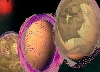 Airborne dust could be a sign of a planet’s habitability, Researchers Say Airborne dust could be a sign of a planet's habitability, Researchers Say