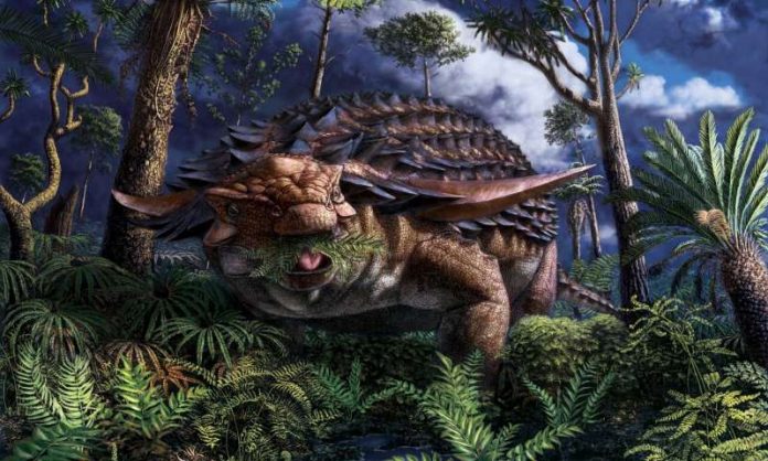 Armoured dinosaur's last meal preserved in stunning detail, Says New Study