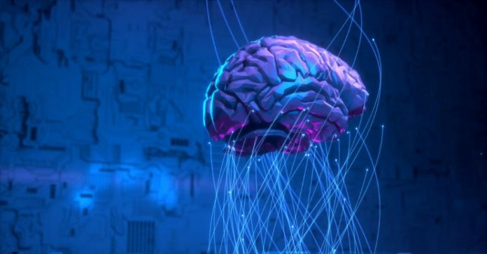 Artificial Brains Need Sleep Just as Much as Regular Brains Do, New Study