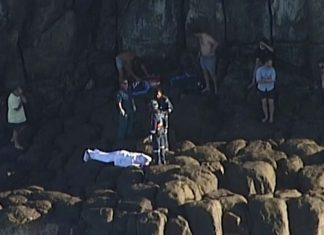 Australia shark attack: Diver killed spearfishing near Fraser Island Australia shark attack: Diver killed spearfishing near Fraser Island