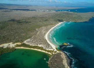 China bans fleet fishing in Galapagos reserve, Report China bans fleet fishing in Galapagos reserve, Report