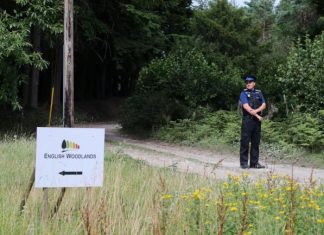 Pilot dies after light aircraft crashes in East Sussex, Report Pilot dies after light aircraft crashes in East Sussex, Report